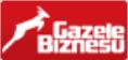 GAZELA_BIZNESU